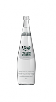 Yaşam Pınarım Cam Şişe 0,33 lt